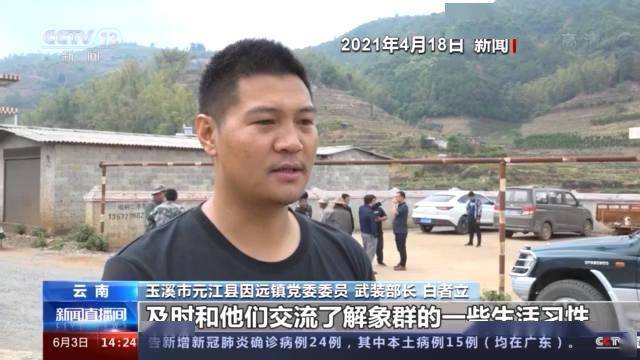 新澳门与香港2025正版免费资料大全,详细解答、专家解读解释与落实-警惕虚假宣传-详细解答、专家解读解释与落实